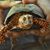Christine DeRose Peckman's profile image