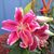 Mary E. Allen's profile image