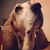 Kelsey Metzinger's profile image