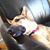 Patricia Maddux's profile image
