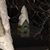 Elizabeth Meyer's profile image