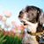 April Stavros's profile image