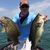 Rodney Poling's profile image