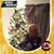 Lynn Koon's profile image