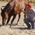 Jon Wyse's profile image