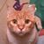Kat Watson's profile image