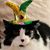 Debra Winfrey Taylor's profile image