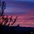 Judy Zumbrunn Thompson's profile image