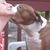 Coral Carlson Bodelson's profile image
