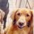 Holly Lindsey's profile image