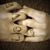 Brian Benson's profile image