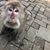 Tammy McKenna's profile image