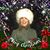 Donna DiMantova Agne's profile image