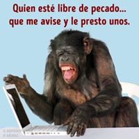 Deborah Testa's profile image