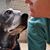 Darlene Czech's profile image