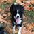 Linda Alford's profile image