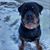 Clifton Doreen's profile image