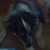 Phil Bruni's profile image
