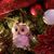 Lynn Endres's profile image