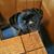 Cindy Banyard Rejda's profile image
