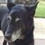 Dannette Houde's profile image