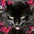 Lori Palmatier's profile image