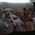Roxanne Baker McPhee's profile image