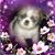 Rebecca Young's profile image