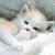 Christine Pore's profile image