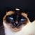 Donna Mowrey's profile image