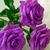 Blanca Sanchez Ramirez's profile image