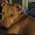 DawnMarie Grunwell's profile image