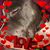Luz Elva Nigales's profile image