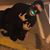 Maverick Grachen's profile image