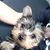 Josie Kuhlman's profile image