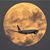Aaron Gold's profile image
