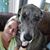 Cindy Billinghurst's profile image