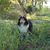 Toni-Jean Gundersen's profile image