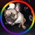 Wayne Kitchin's profile image