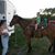 Shannon Coady's profile image