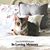 Michelle Ong-Dye's profile image