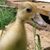 Anna Bastien's profile image