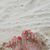 Mary Carrara Watson's profile image