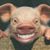 Maurice Bourassa's profile image