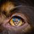 Lance Stanley's profile image