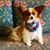 Bandi Cavagnaro's profile image