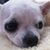 Bandit Ganotis-Parker's profile image