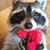 Sharon Alphin Whaley's profile image