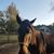 Kimberly Hamilton's profile image