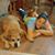 Jennifer Duvall's profile image